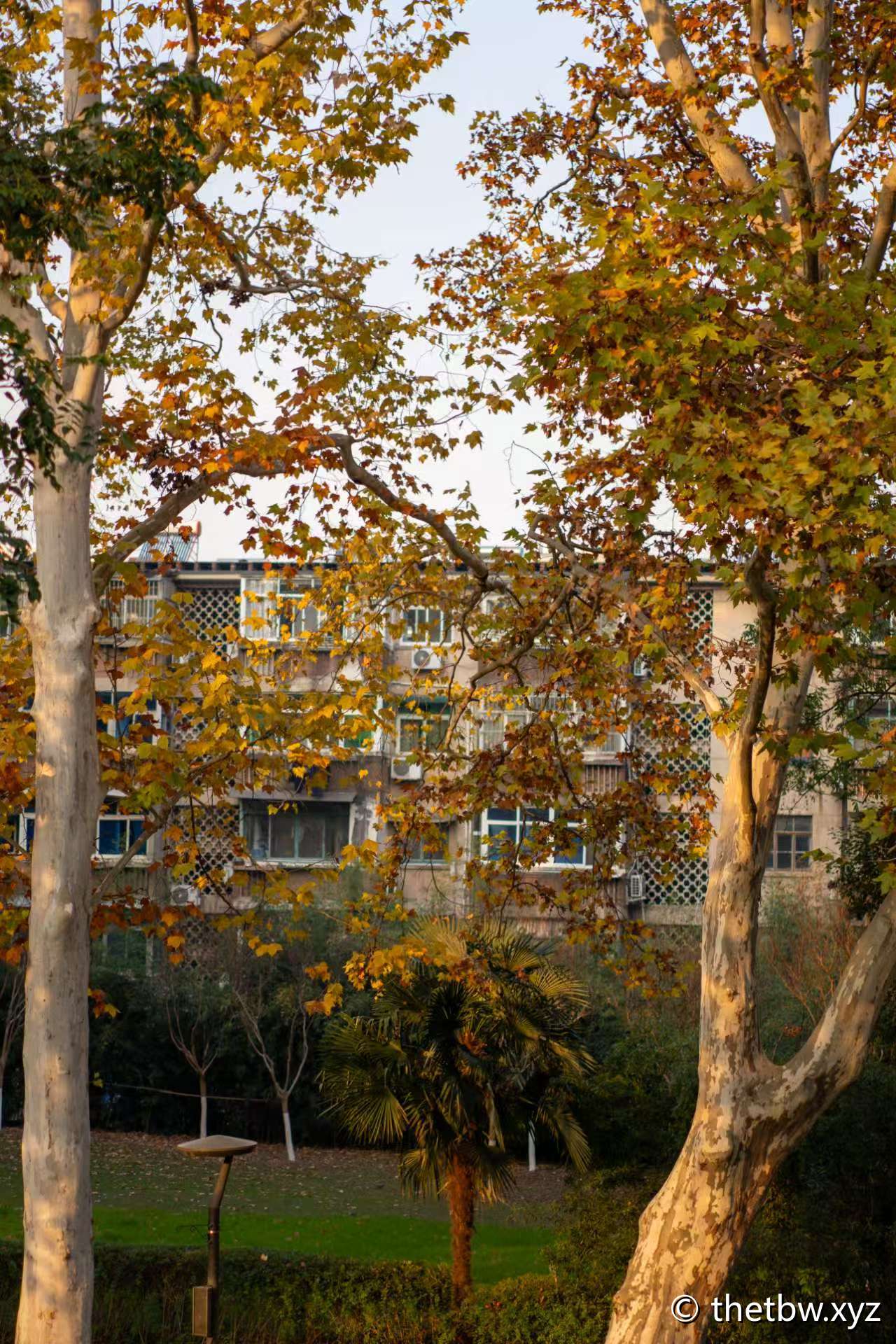 docker修改存储位置，以及遇到的问题