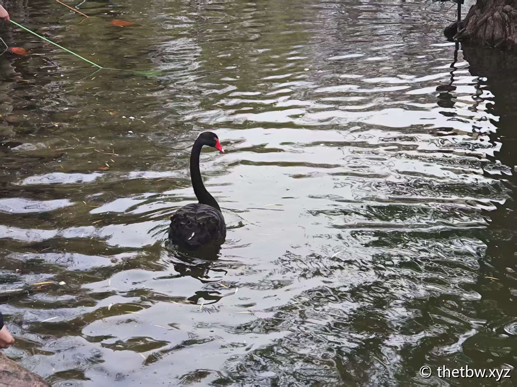 通过SSH远程执行命令，以及多服务器管理