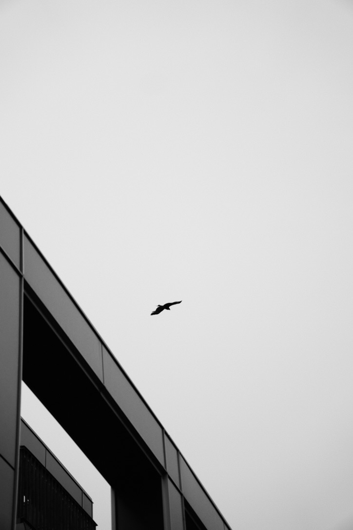 CDA9F8E849C74C3CA670105C171AAFC7_1_105_c.jpeg