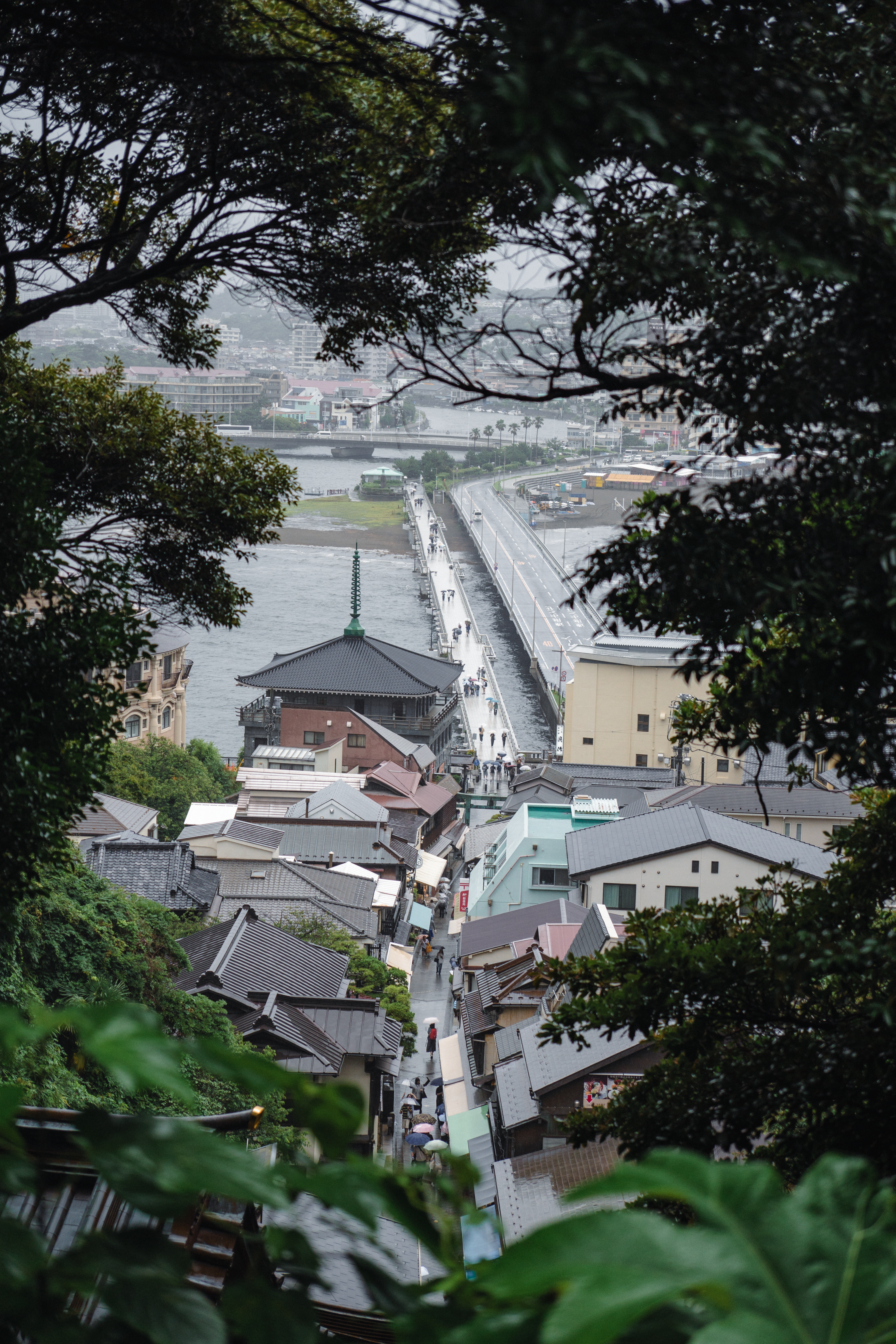 DSC03544.png