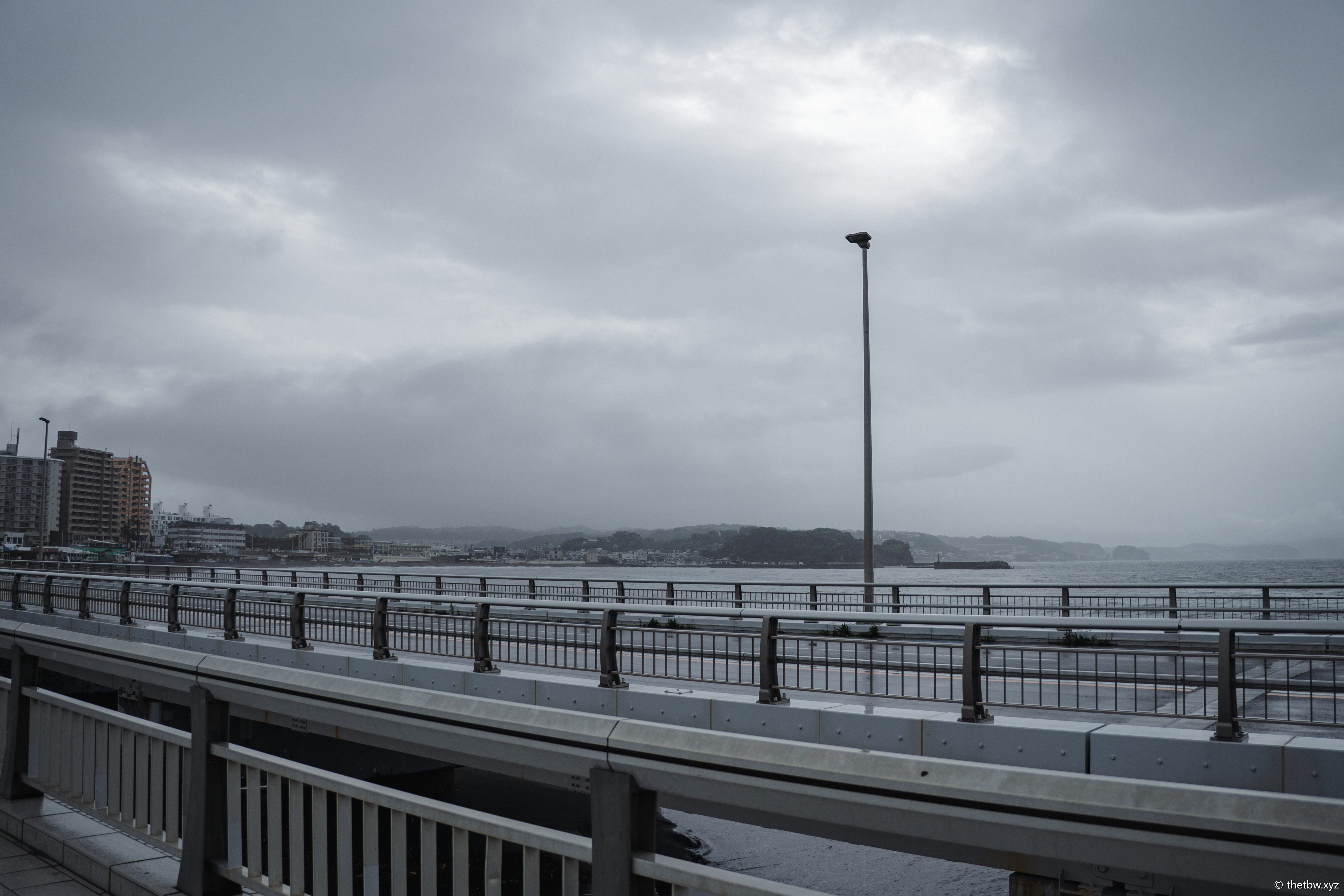 DSC03558.png