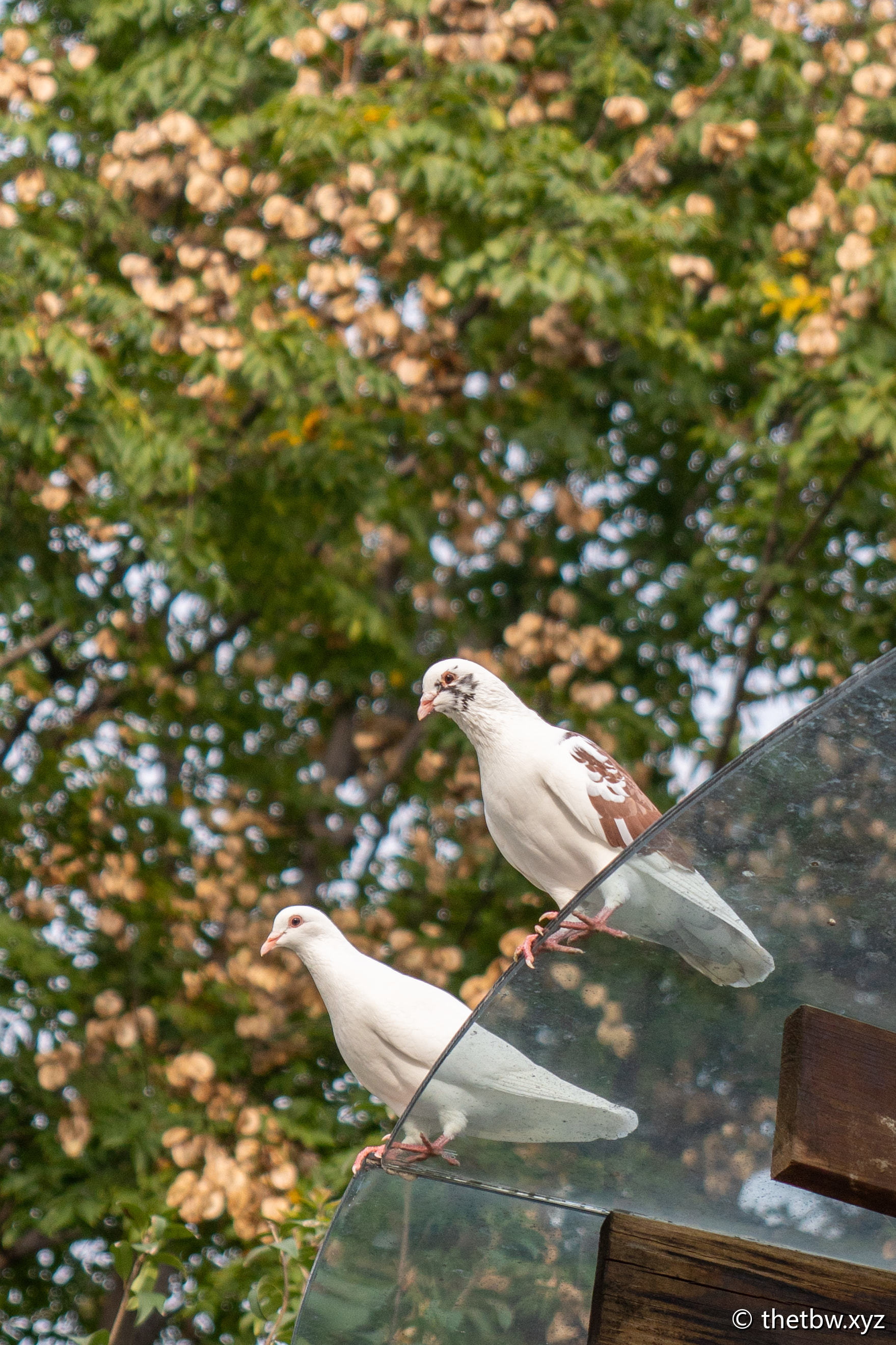 讲讲java的内存分析