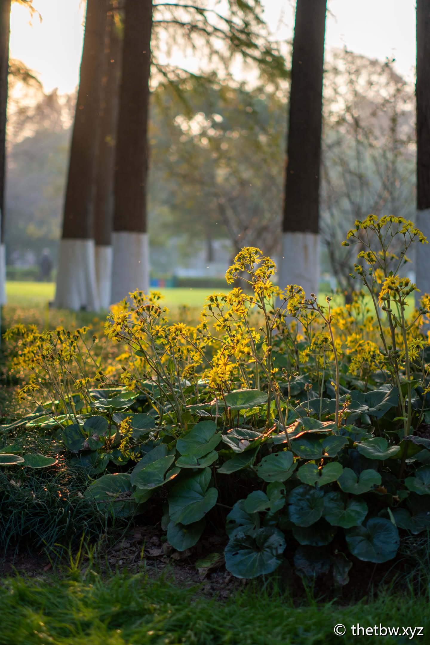 【摘抄】天堂与地狱