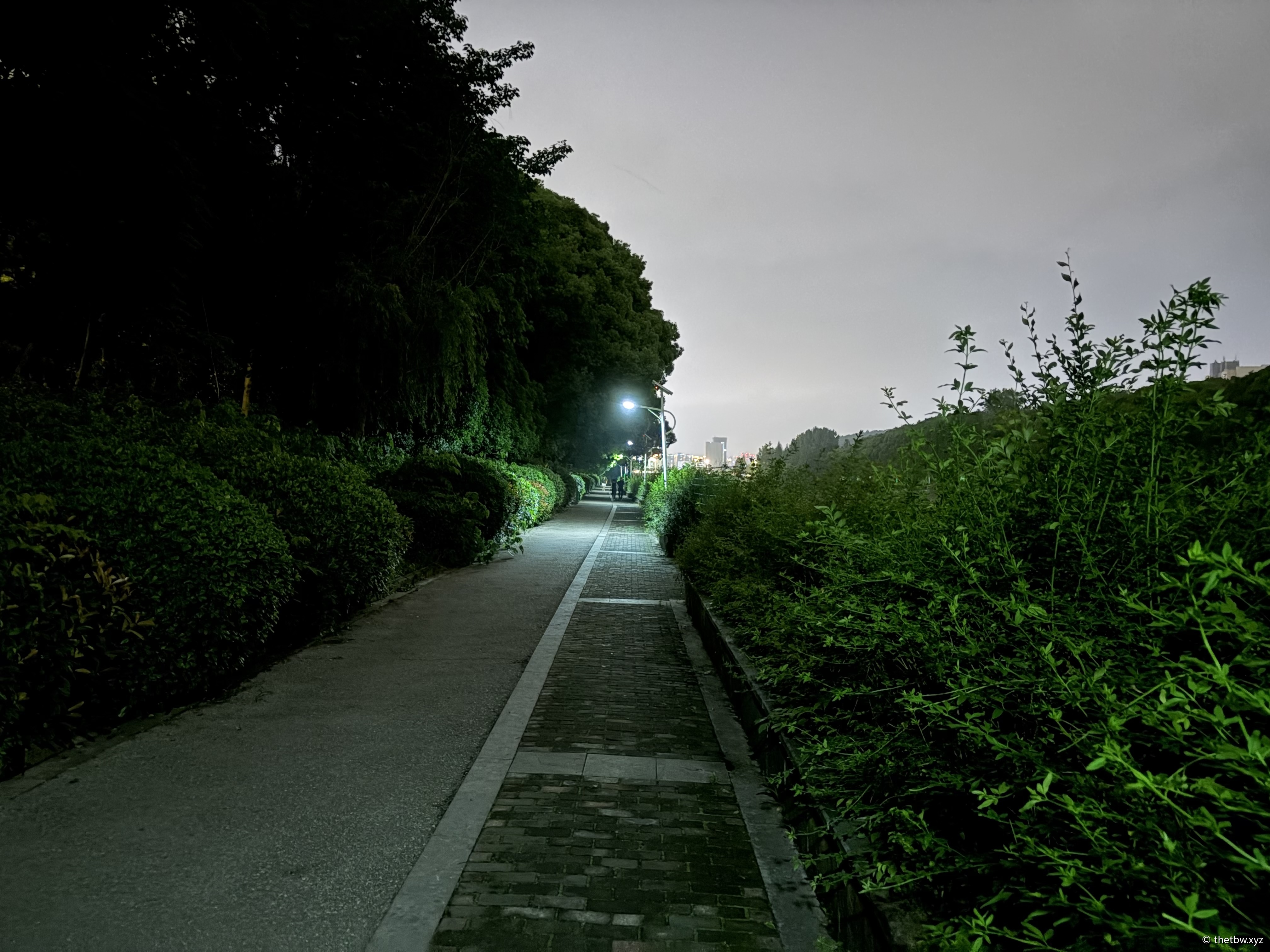 被辞了，来的有点意外，但是在情理之中