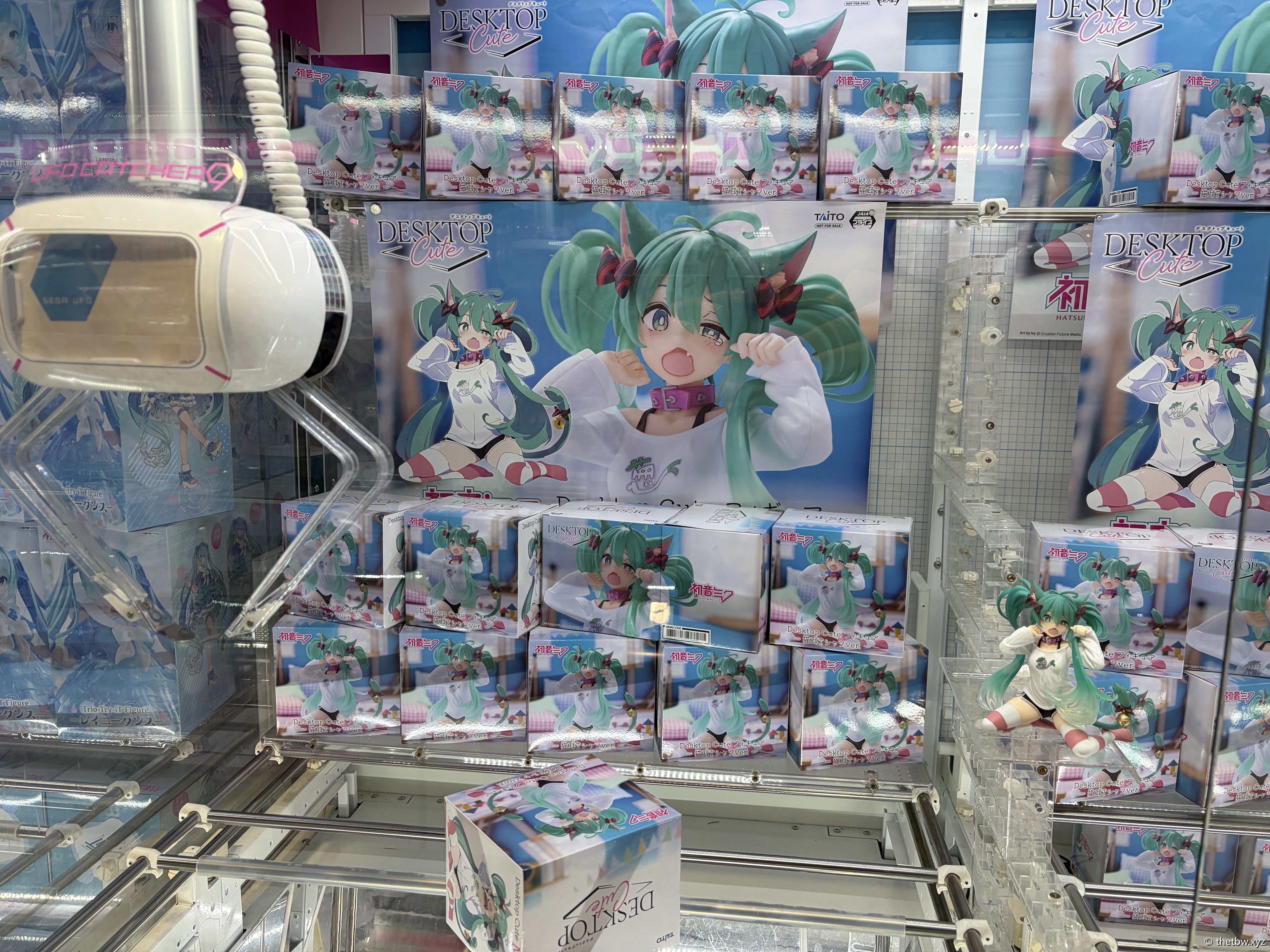 IMG_0561.jpeg