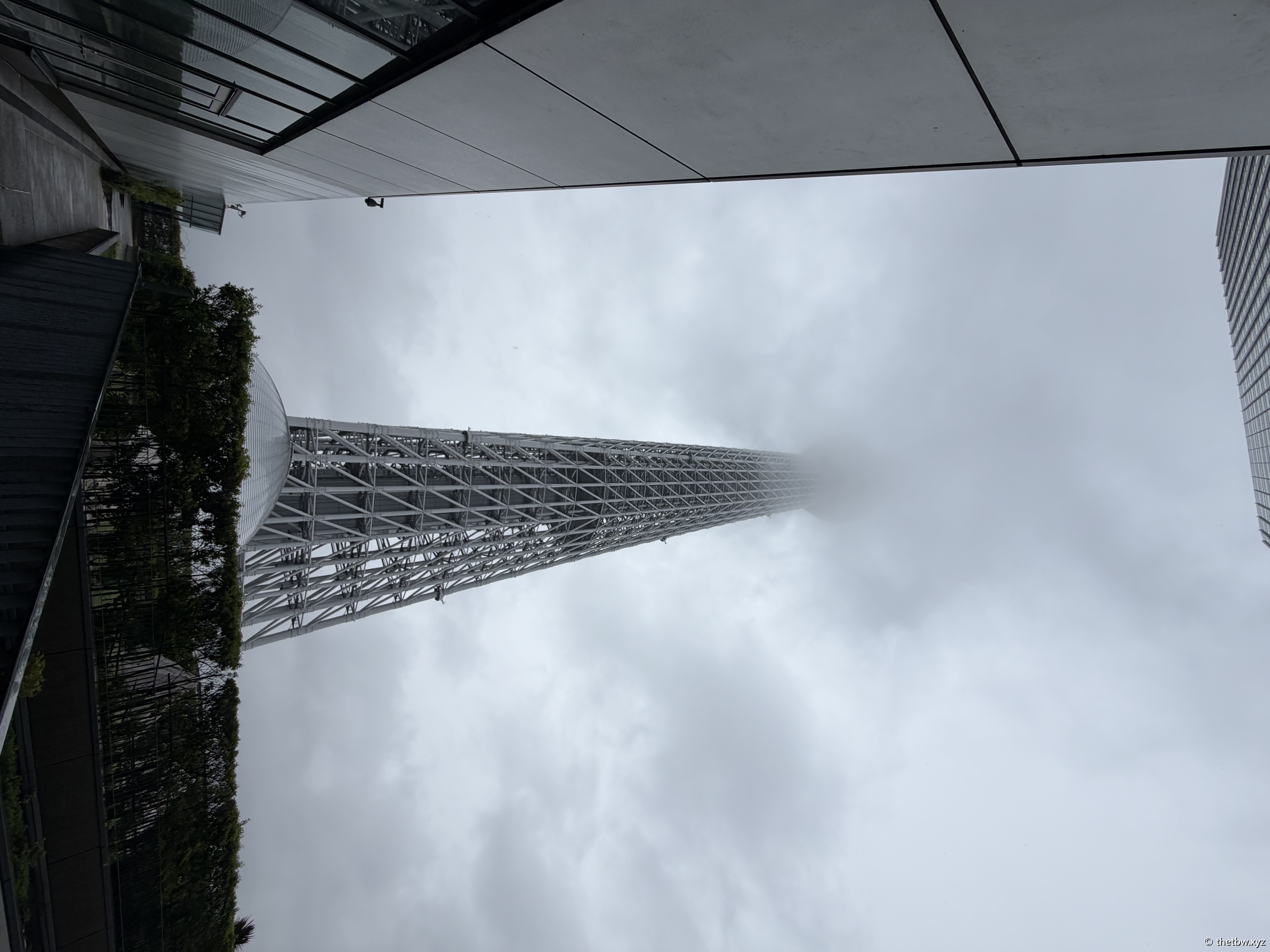 IMG_0733.jpeg
