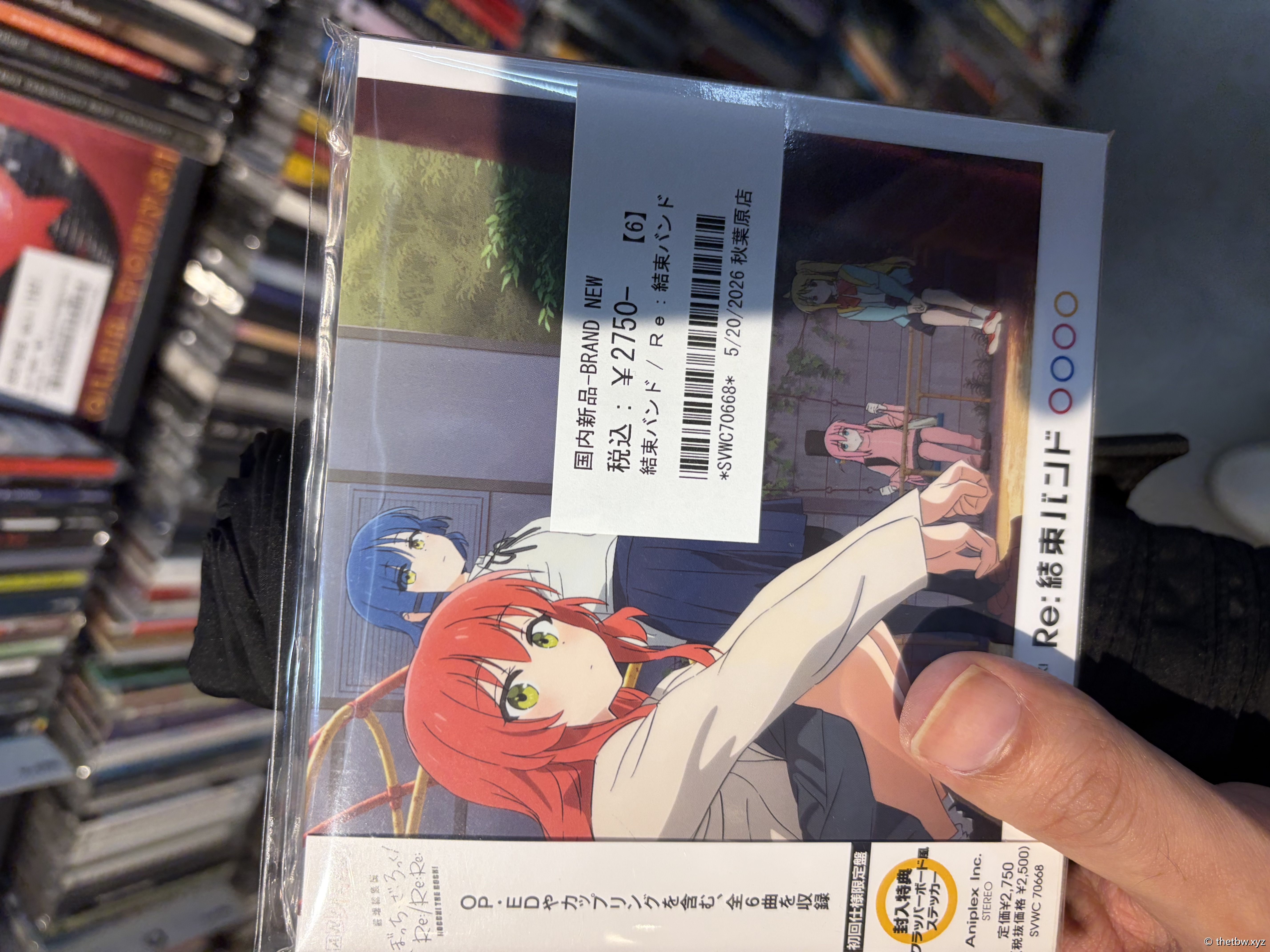 IMG_0864.jpeg
