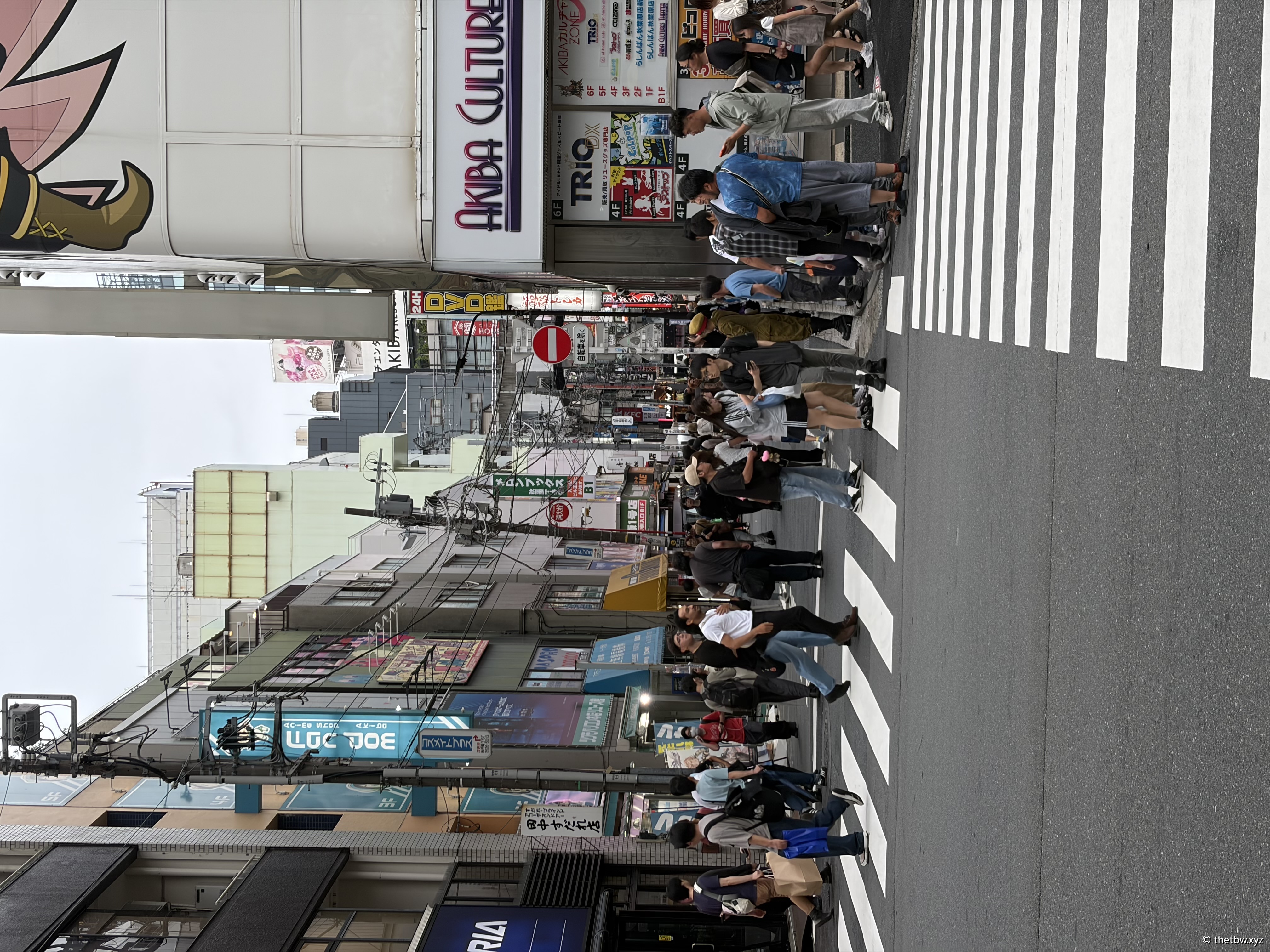 IMG_0882.jpeg